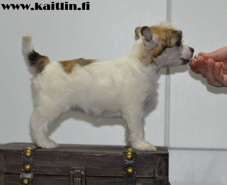 Kaitlin Sa Its Written In The Wind