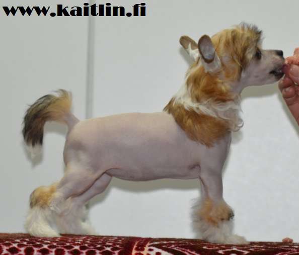 Kaitlin Sa To Me You Are Perfect