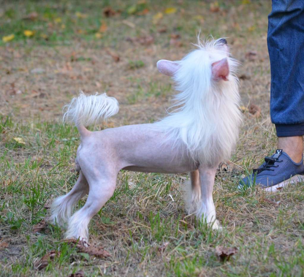 Magic of Success Yunona