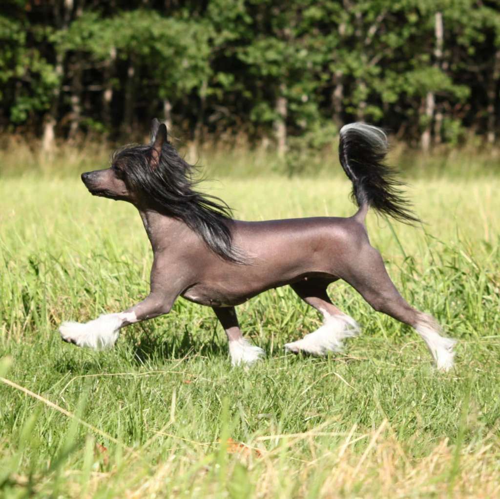 Oblivion Dirty Little Secret