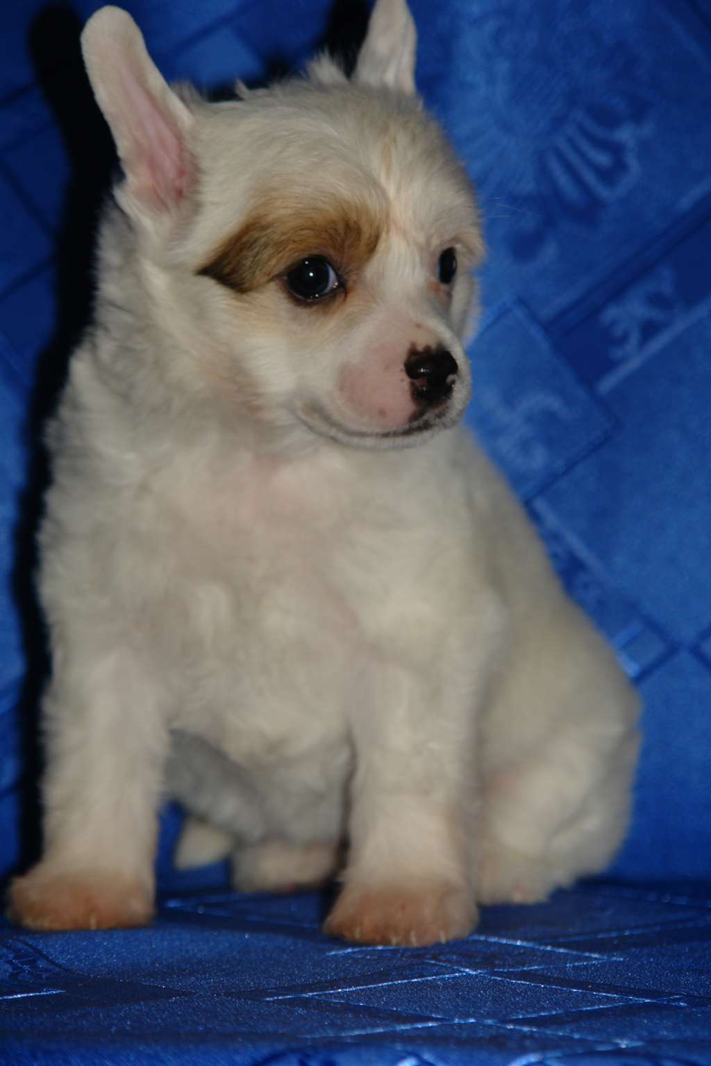 Matilda  Iz Vanill''nyh Snow