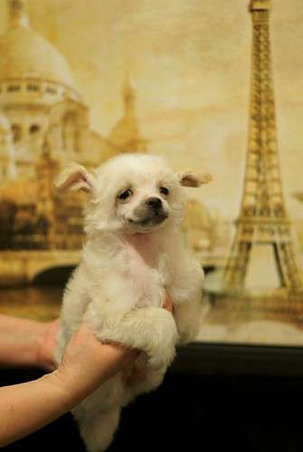 Glenlaif Britany Murphy