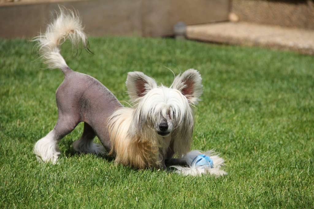 Irresistible Heybett