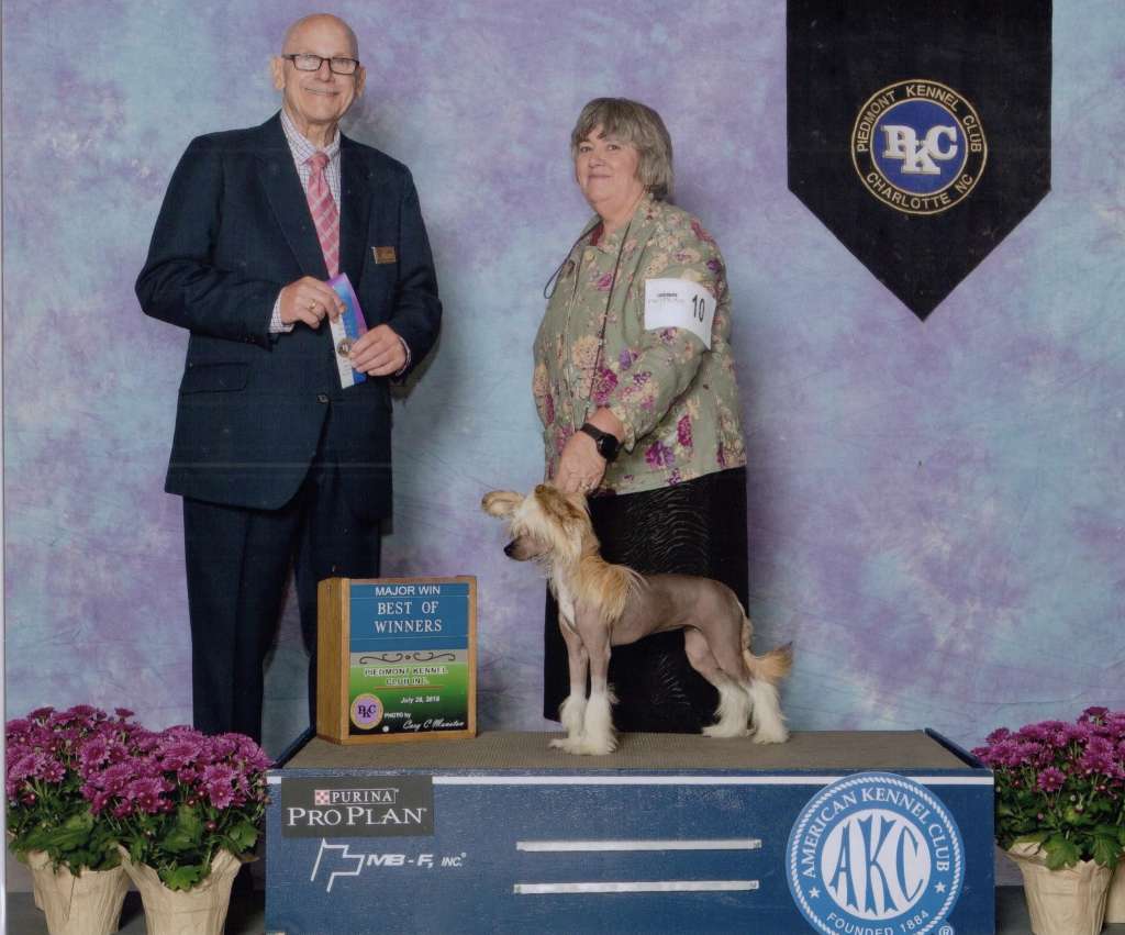 Burberry Gold Il senso della mia vita