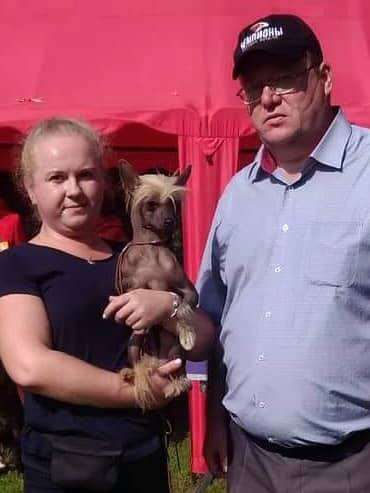 Ksolo Club Archi Gold