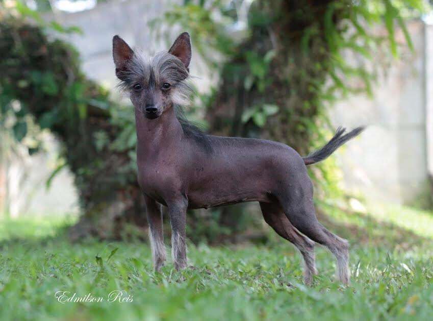 Hampton Court's Born This Way At Legend