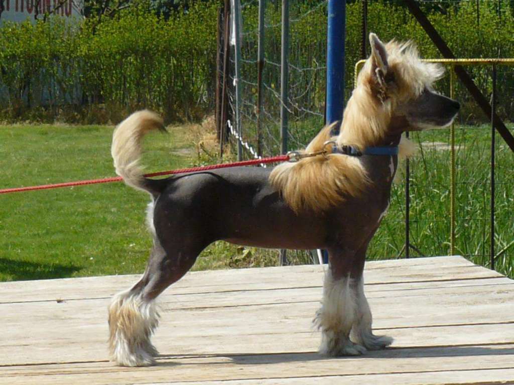 Licky Lips Inspiration