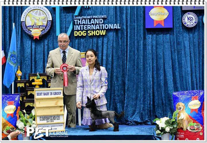 Licky Lips Innovation