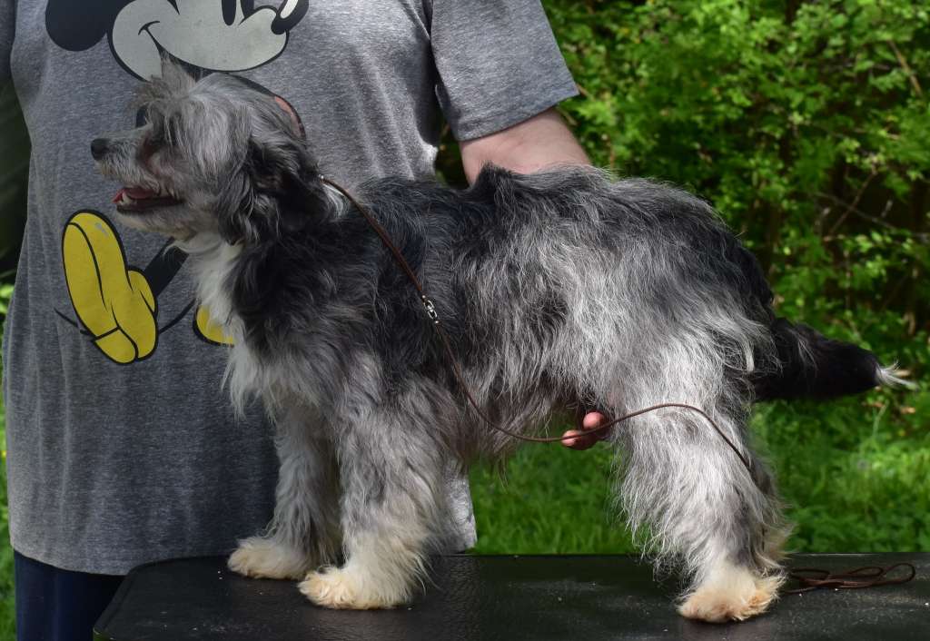 Hairicane She Came Around The Mountain