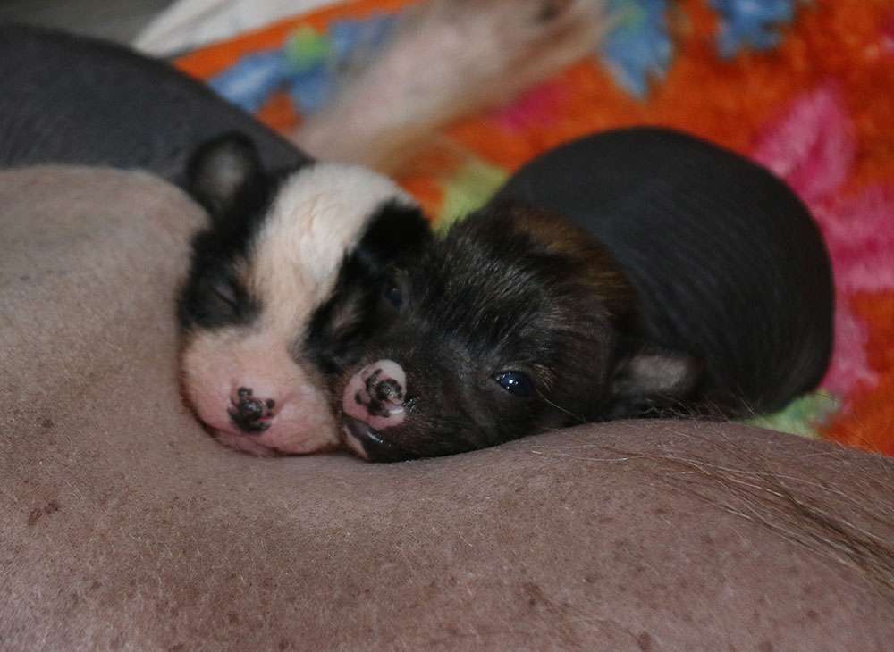 Warranted Love Diamond Place