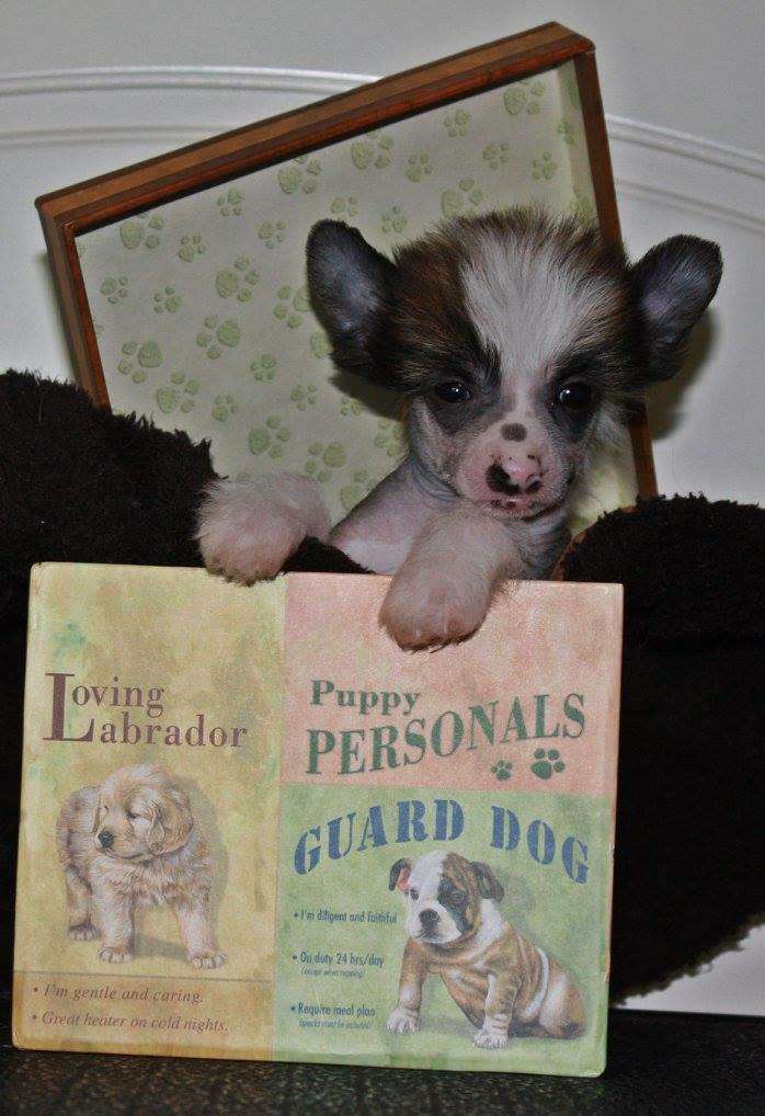 Viuvaun Hyvää Huomenta Kaunis Maailma