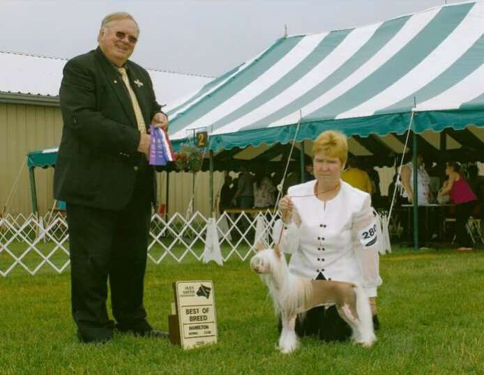 Treasurebin's Just Like Magic