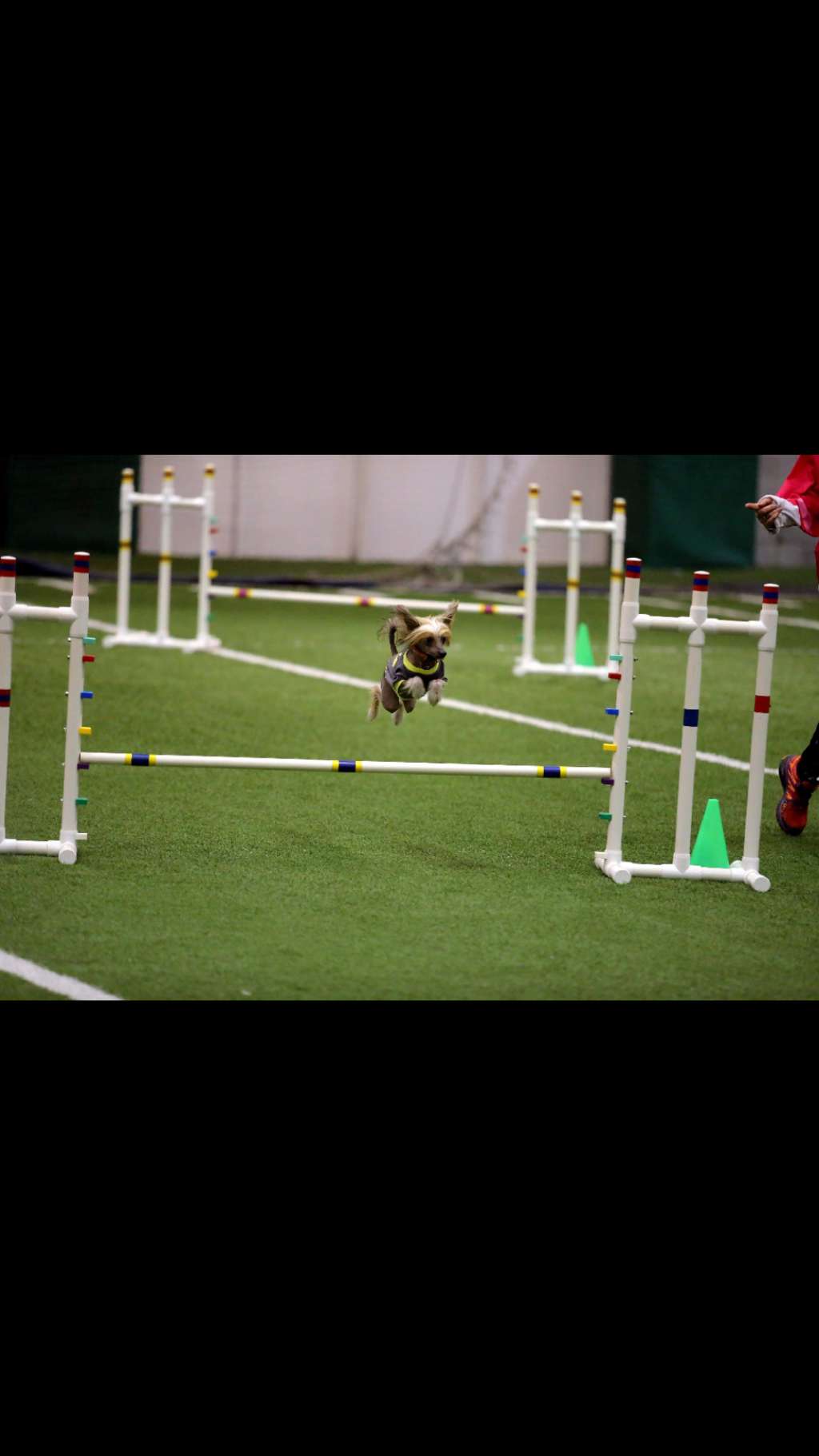 Ponyville's John Lennon