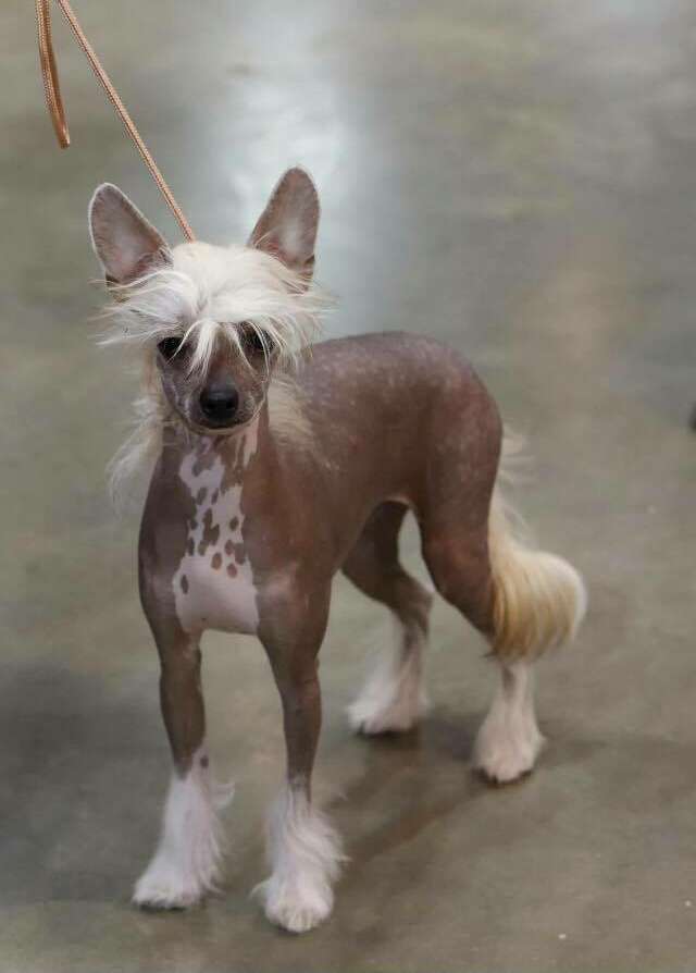 Leading Lady Tallyann