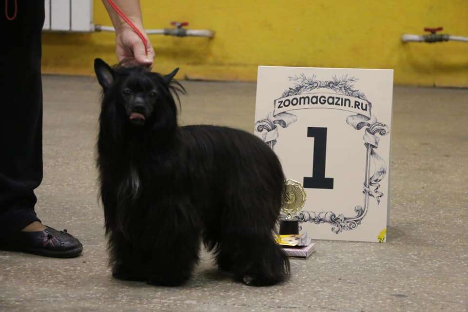 Naimuluna Line Zhorzhetta (puff)