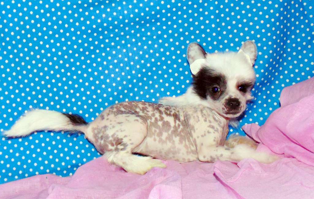 Millennium Pride Leia Mills