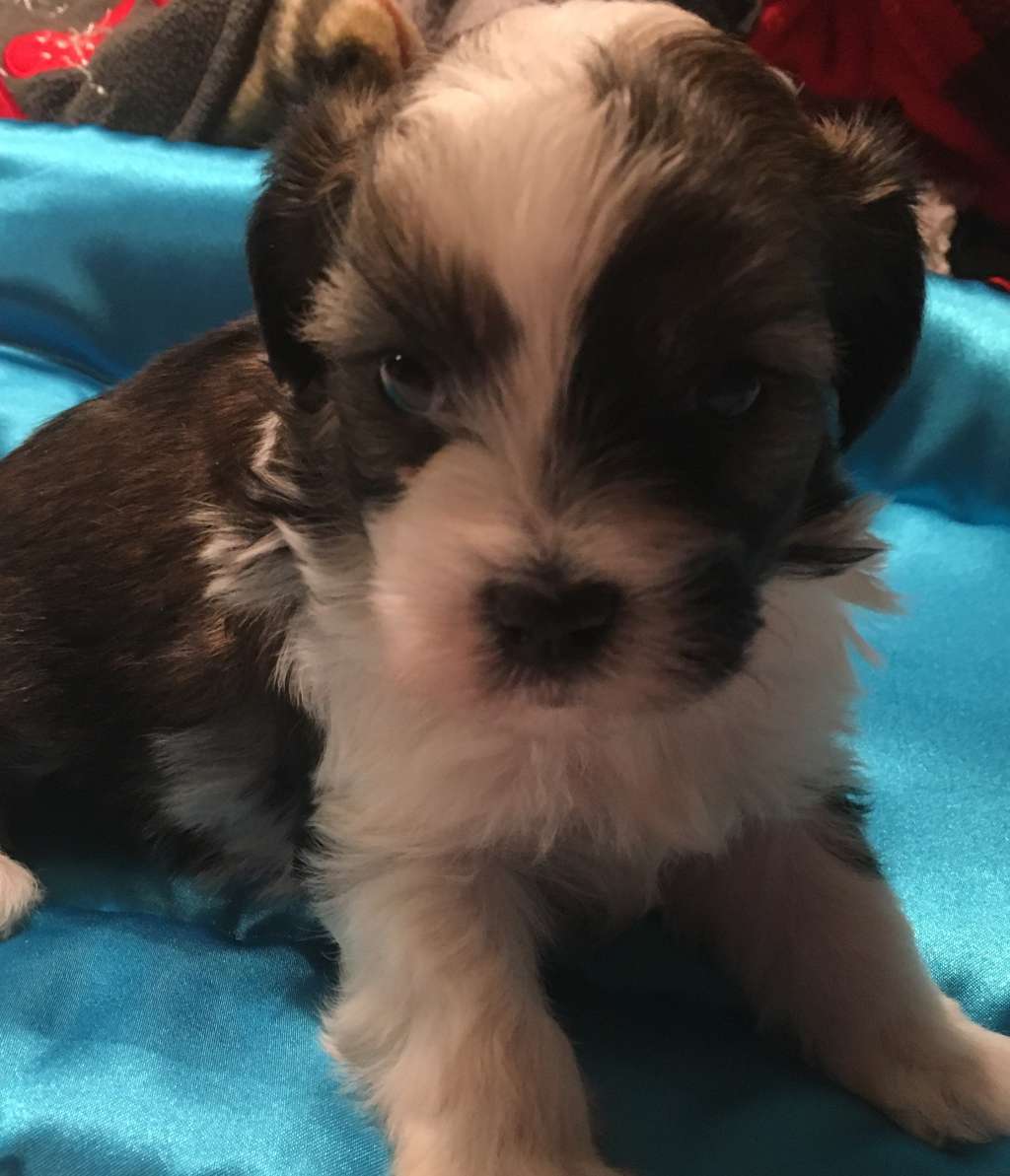 Sunlit Worka Art?s Nieman Marcus