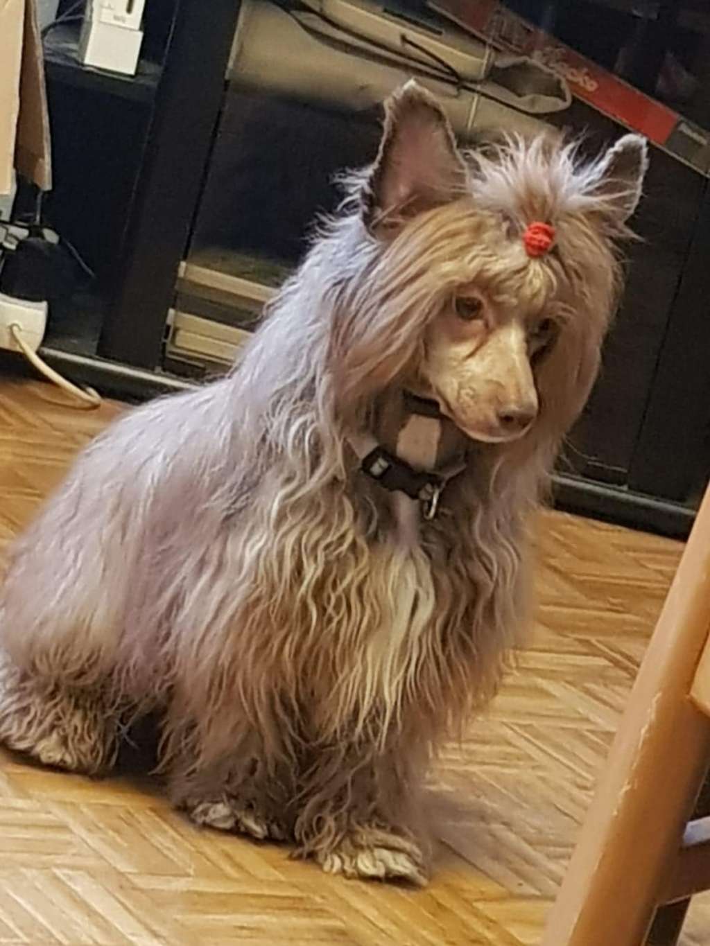 Blue Beautiful Story FCI