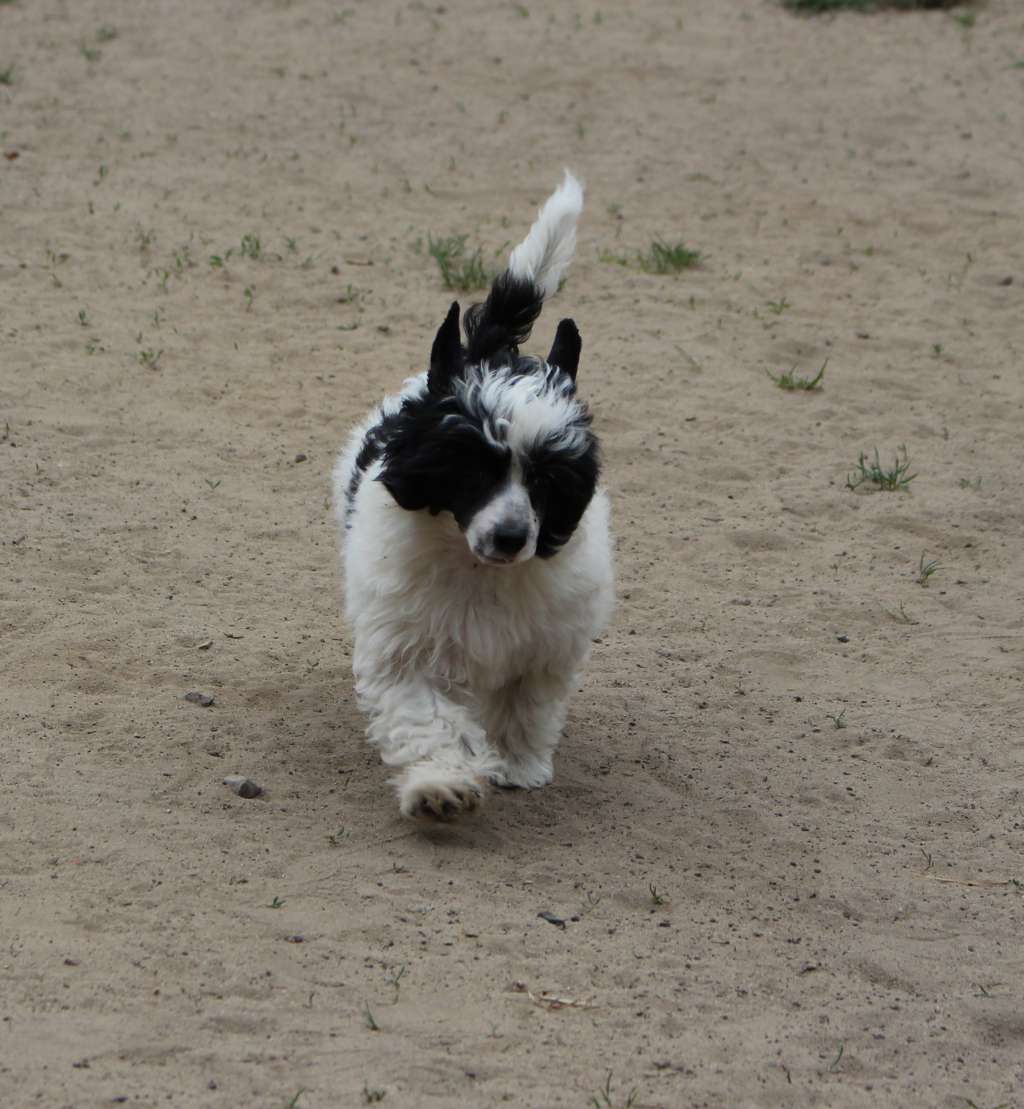 Bussho Beautiful Story FCI