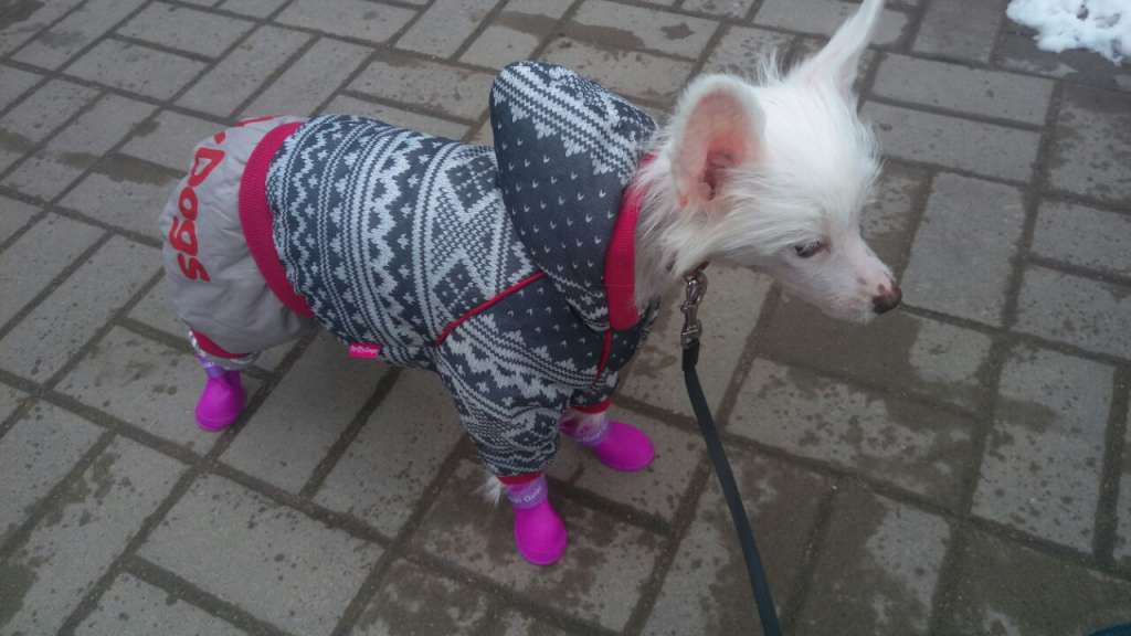 Kovimoti Berry Strowberry