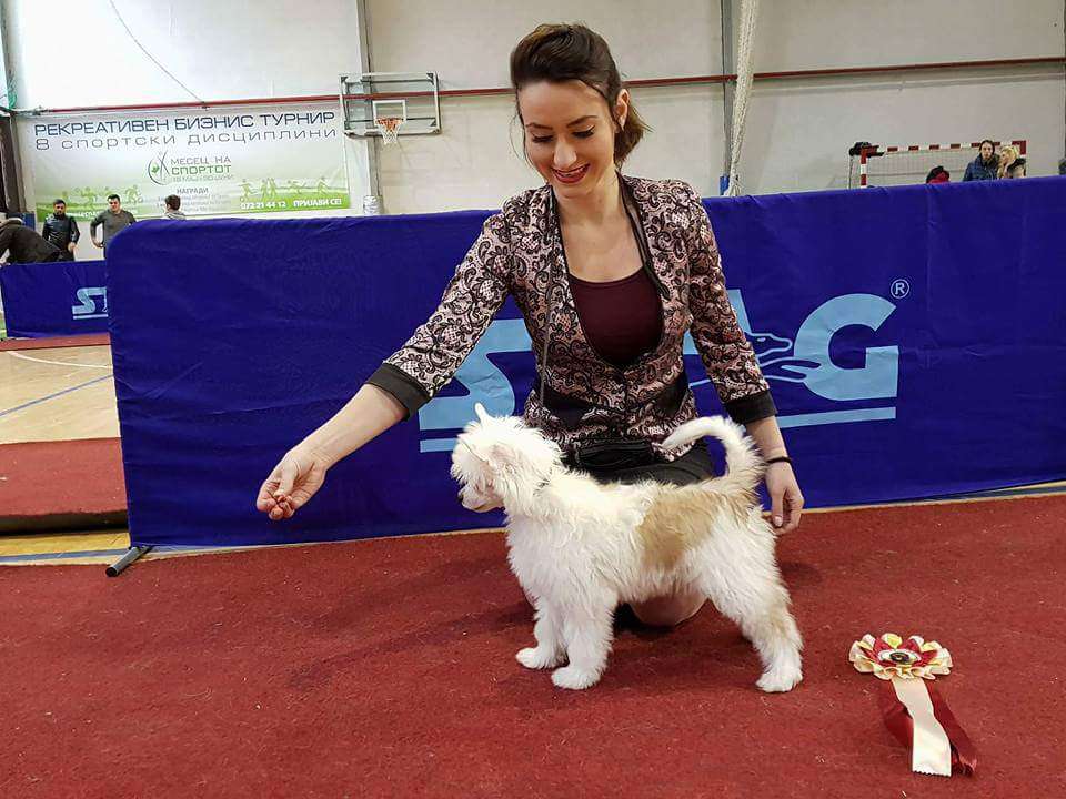 Noor E Alam Ziza Tea