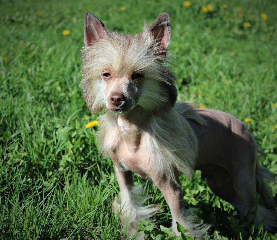 Waldemar Lev Miracolo Dell'anima