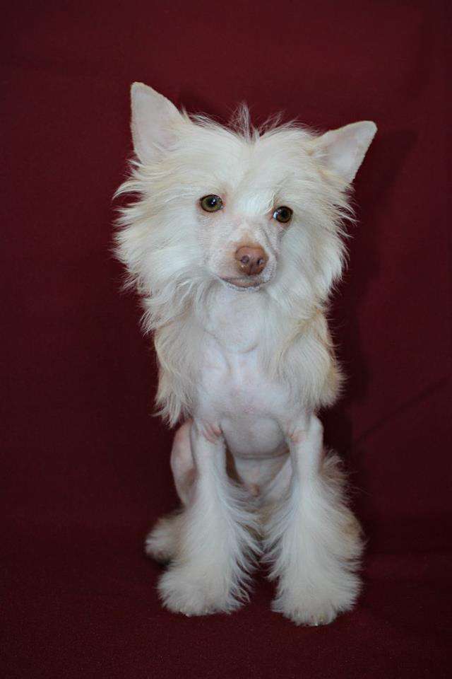 Walter Lin Miracolo Dell'anima