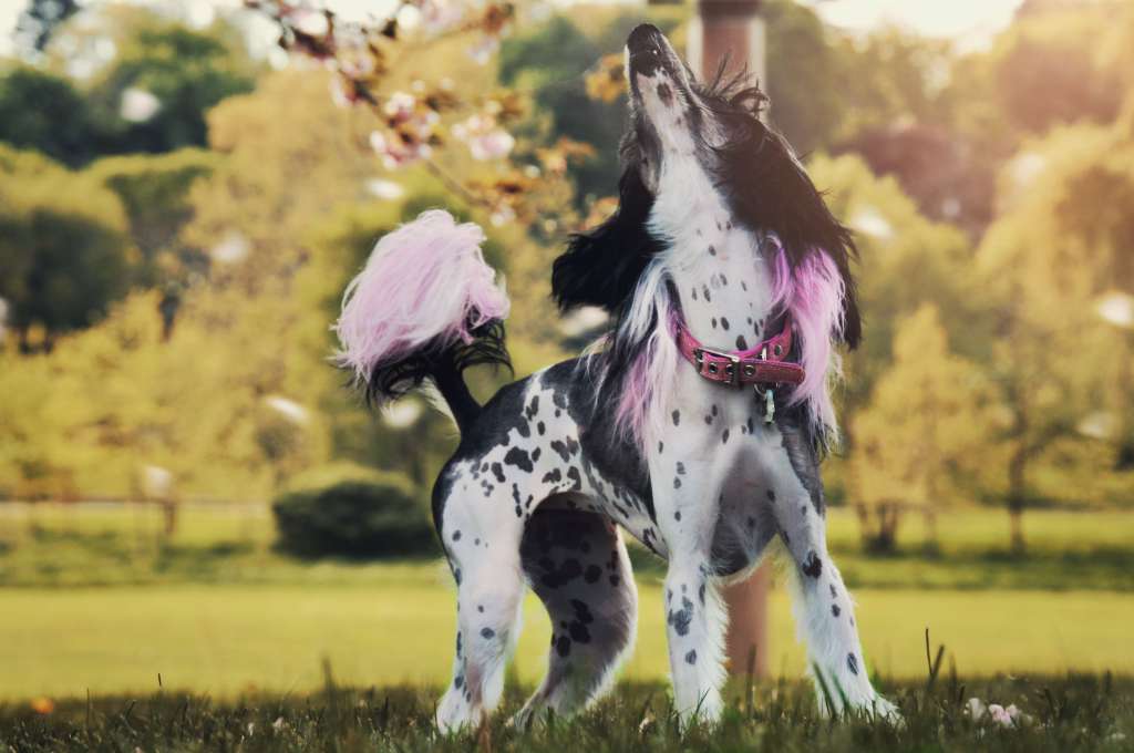 Highlands Morality Isnt Black and White