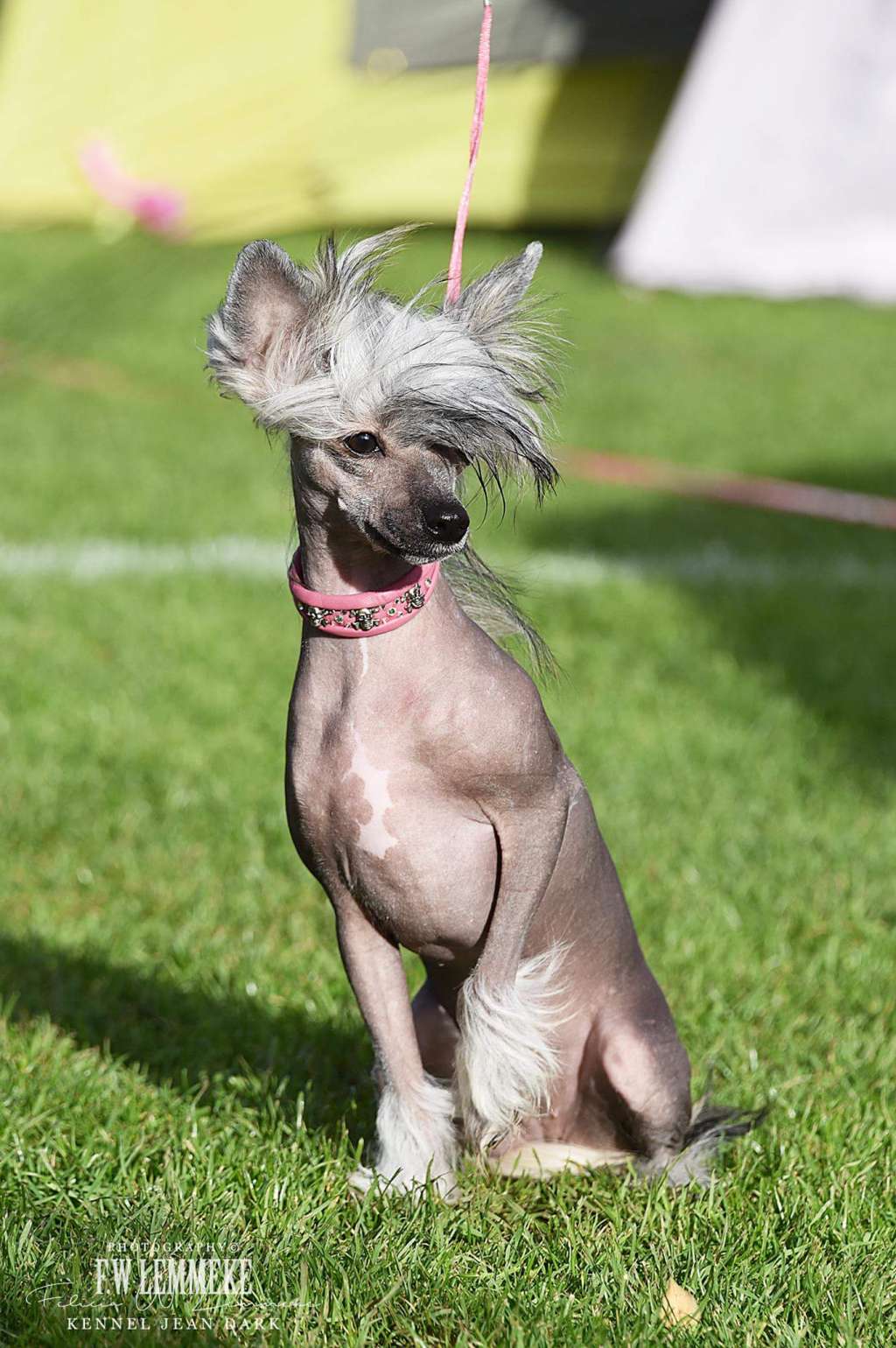 ChinoPata's Living On The Edge