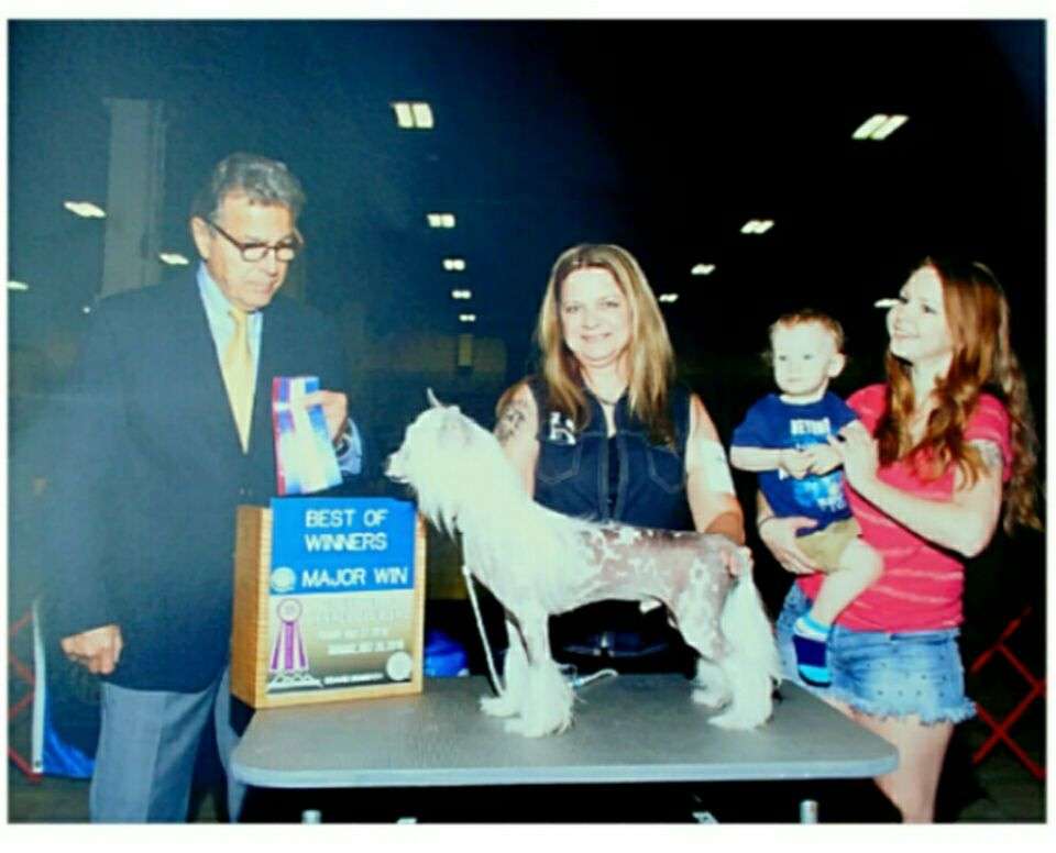 Radiant's Up the Ante