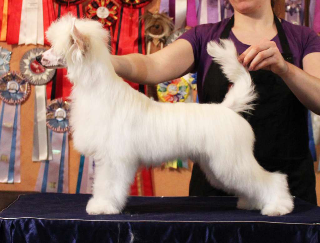 Via Della Seta Edition Deluxe