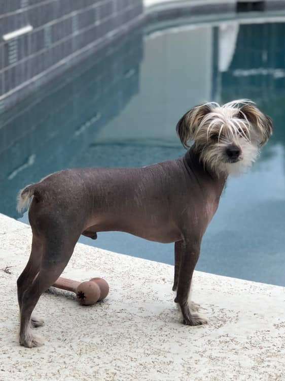 deBahTrio's Spiritual Zeke Ward-Peterson