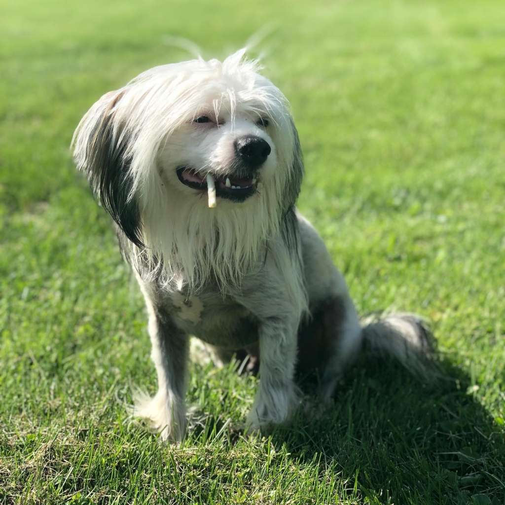 deBahTrio's Spiritual Purple Rain