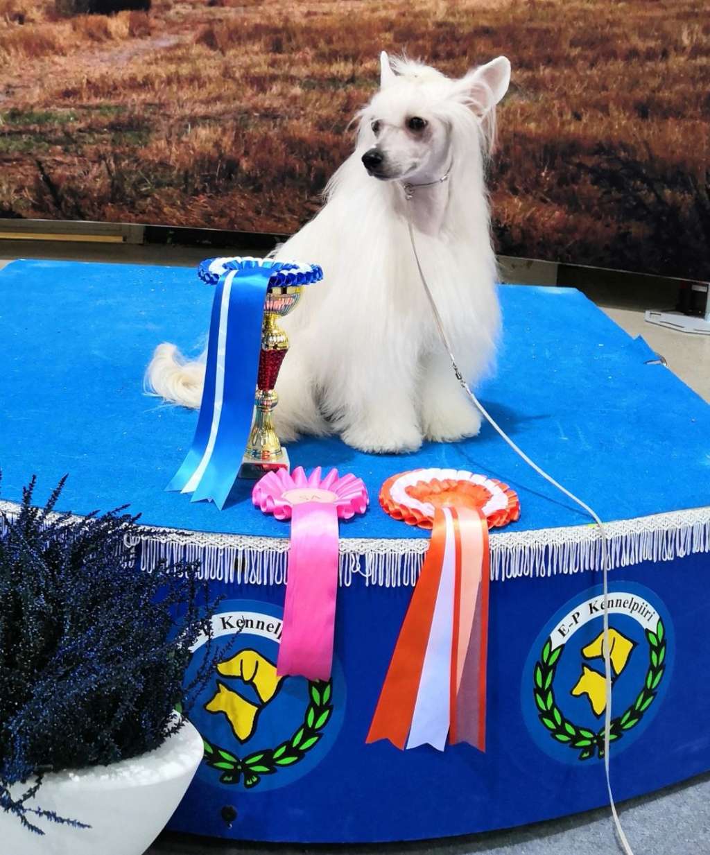 Concrete Clouds In A Heartbeat