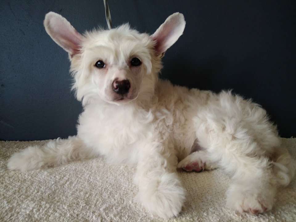 Concrete Clouds Light In The Dark