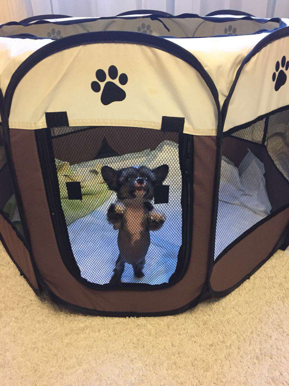 Angel O' Check Lissabon