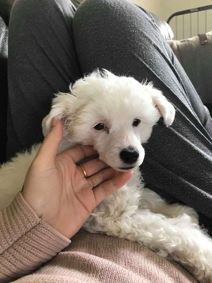 Olympiens Poseidon - God of the Sea