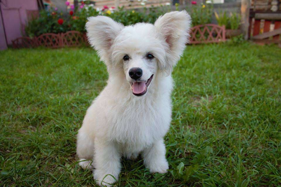 Est' Takoi Sekret Dlya Liris