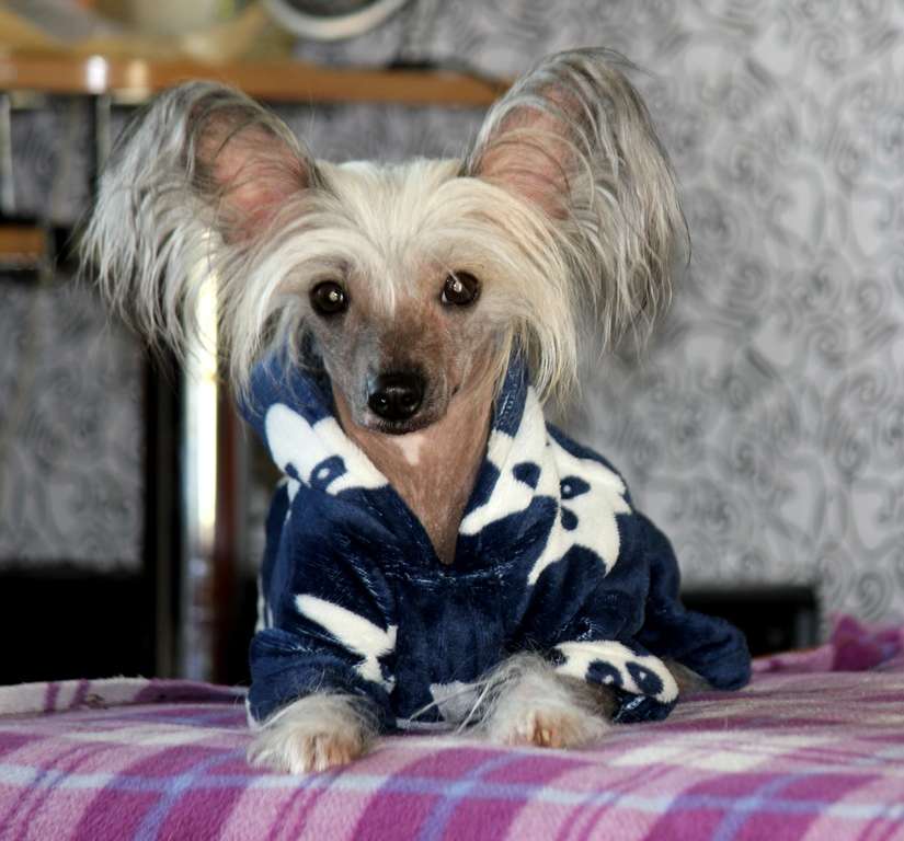 Edinstvennaya dlya Liris