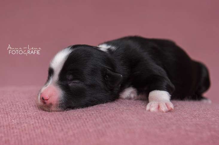 Little Rehma's Nuria