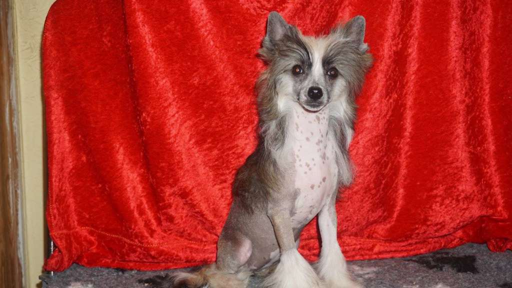 Kassandra Planet Of Dream