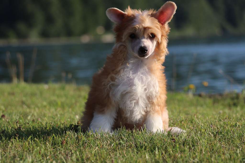 Aurora Choose The Joy