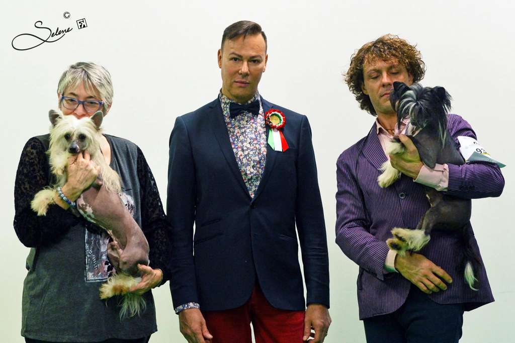 Jr. It. Ch. - Dakota Rose The Dream Comes From The