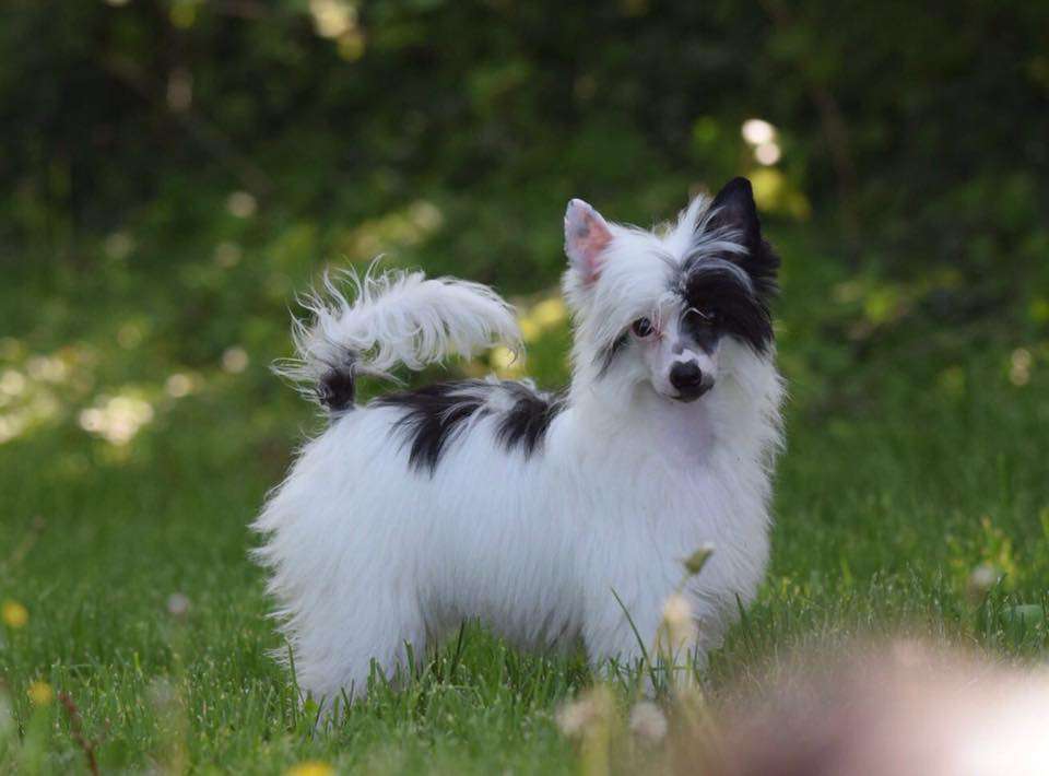 Dakota Rose Don't Go Breaking My Heart