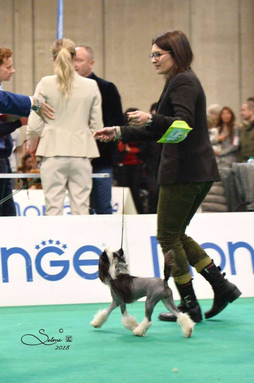 Dakota Rose Every Story Is A Love Story