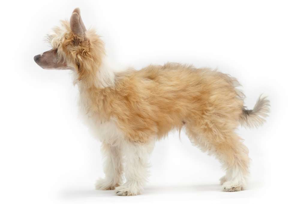 Reset Button Of Miracle Legacy