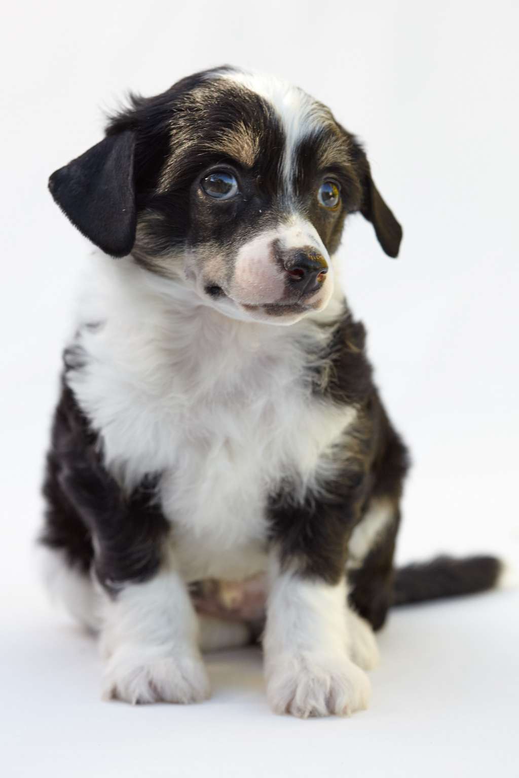 Relaxed Spirit Of Miracle Legacy