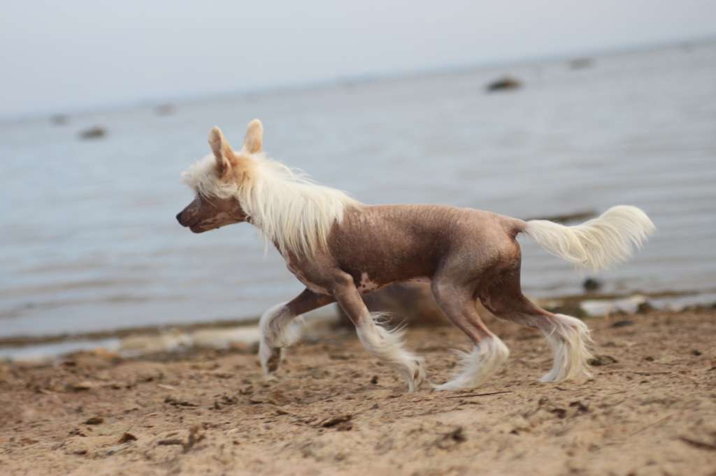 Landkris Better Way Forward