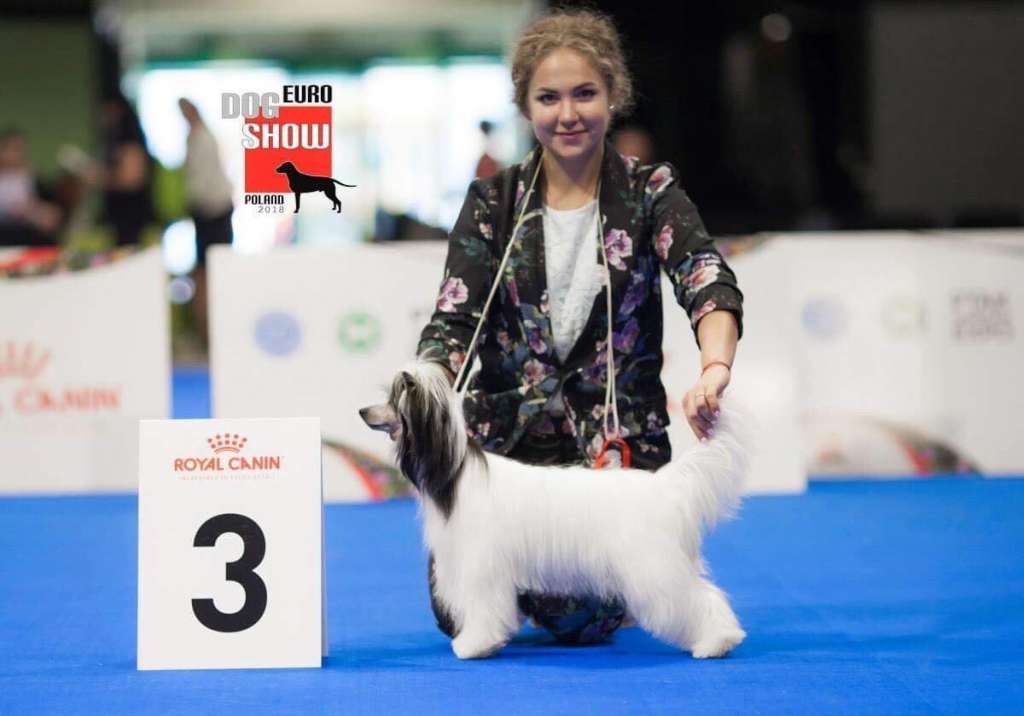 Laisan Island Zabava Top Winner (puff)