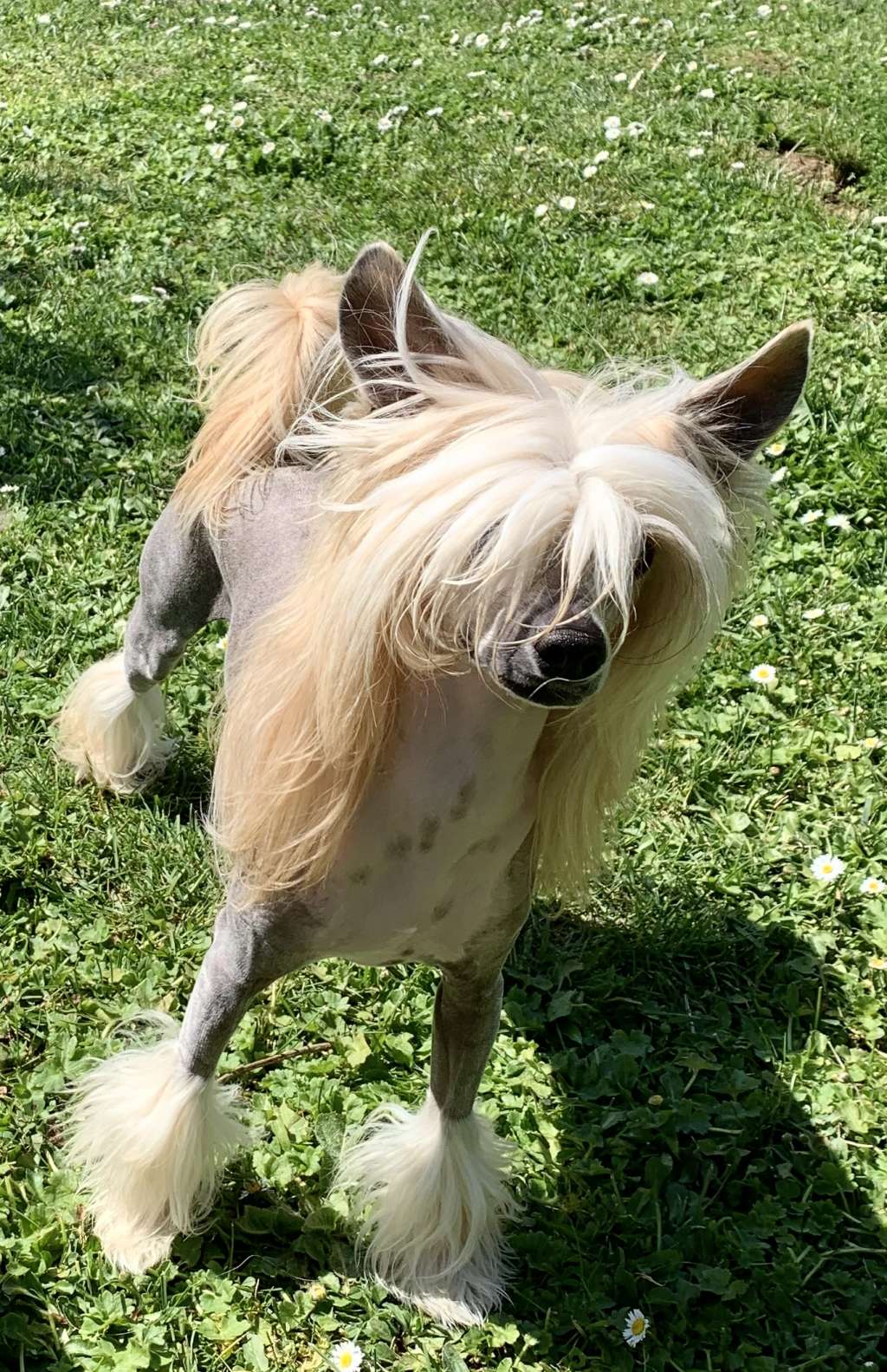 La LaLand Winning Smile